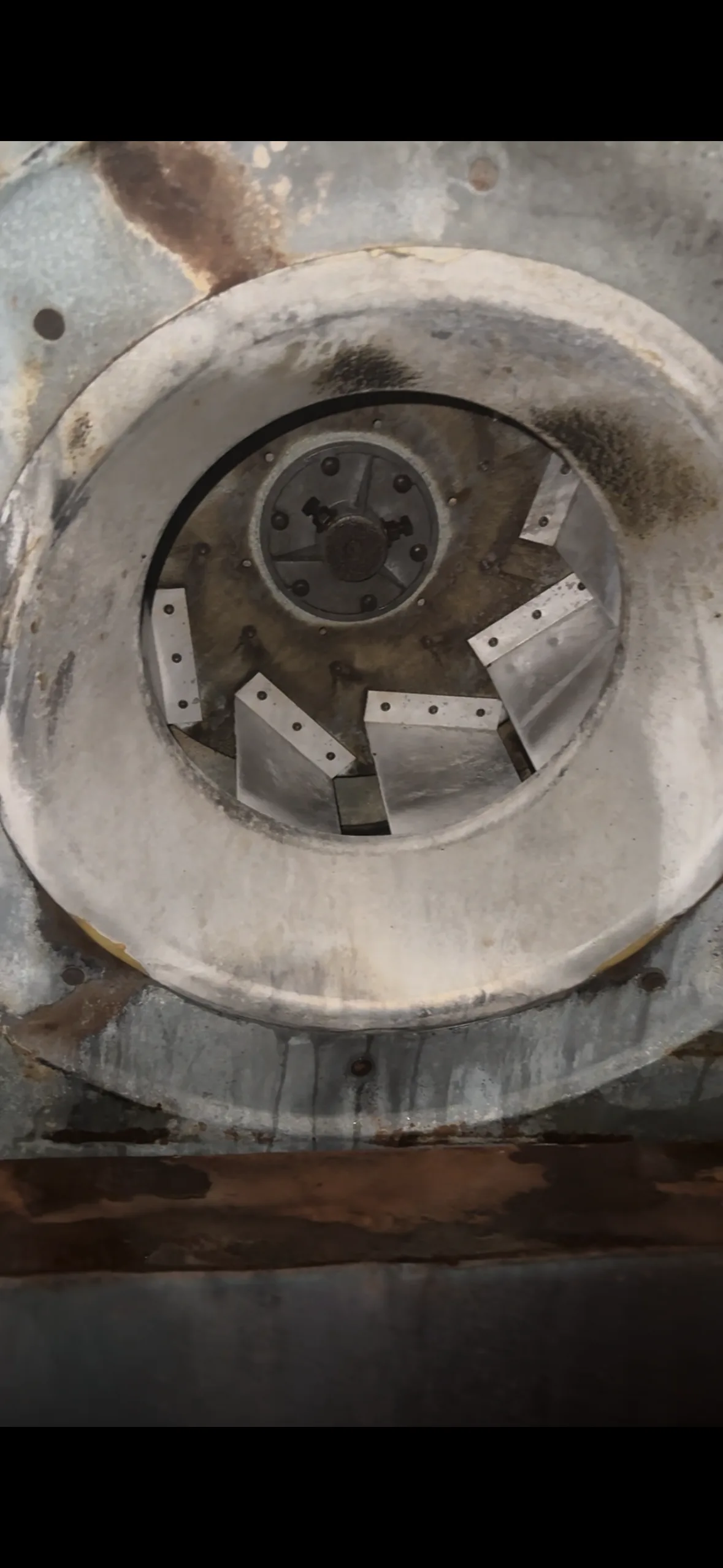 Exhaust fan impeller blades — internal view before service
